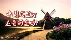 中國(guó)式監(jiān)理，還有前途嗎？